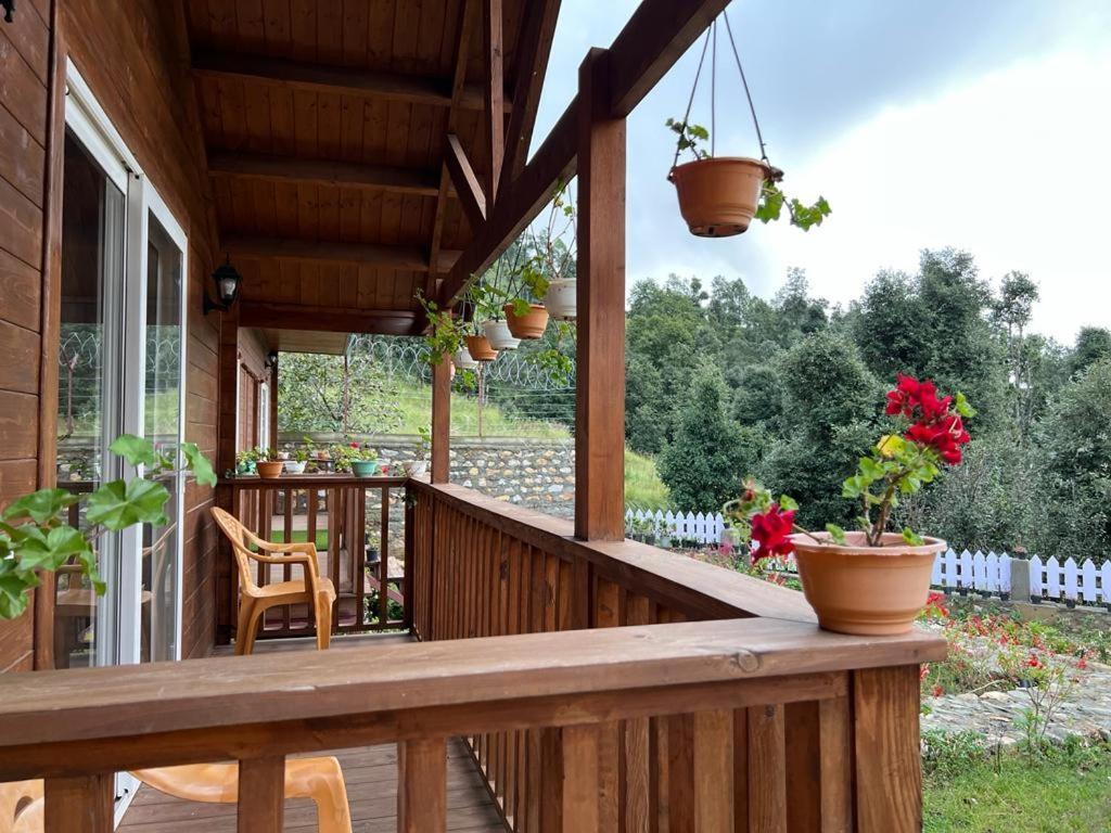 Vanprastha Resorts Dwarahat ภายนอก รูปภาพ